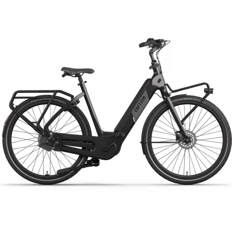 E-Common Fam Int Enviolo Auto 2026