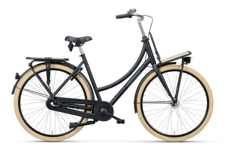 Batavus PACKD T3 2026